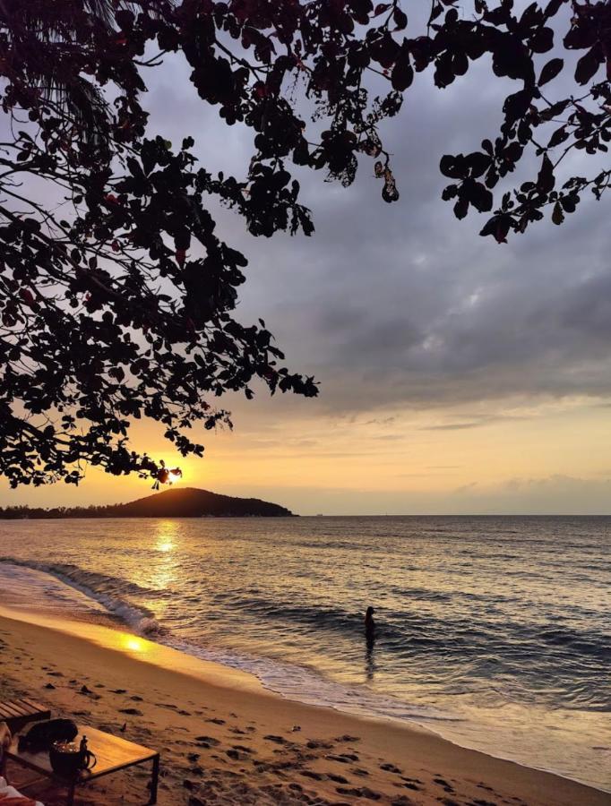Chill Inn Lipa Noi Hostel And Beach Cafe Koh Samui Buitenkant foto